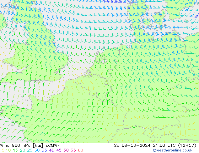 Rüzgar 900 hPa ECMWF Cts 08.06.2024 21 UTC