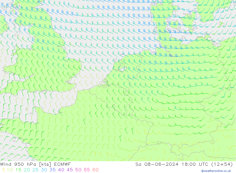 wiatr 950 hPa ECMWF so. 08.06.2024 18 UTC