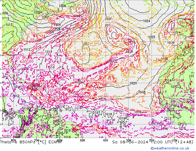 Theta-e 850гПа ECMWF сб 08.06.2024 12 UTC