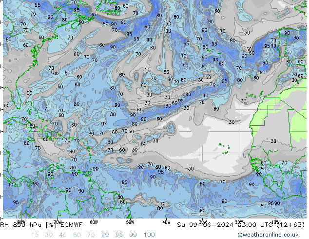 Humidité rel. 850 hPa ECMWF dim 09.06.2024 03 UTC