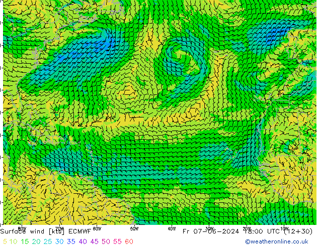  pt. 07.06.2024 18 UTC