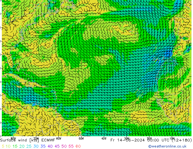  10 m ECMWF  14.06.2024 00 UTC