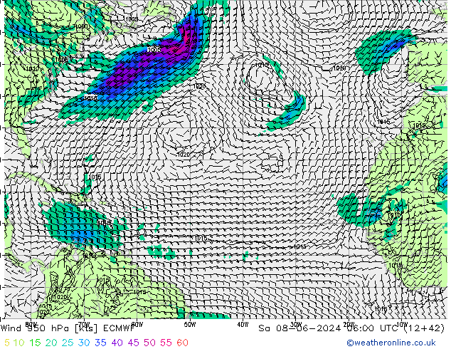 Wind 950 hPa ECMWF Sa 08.06.2024 06 UTC