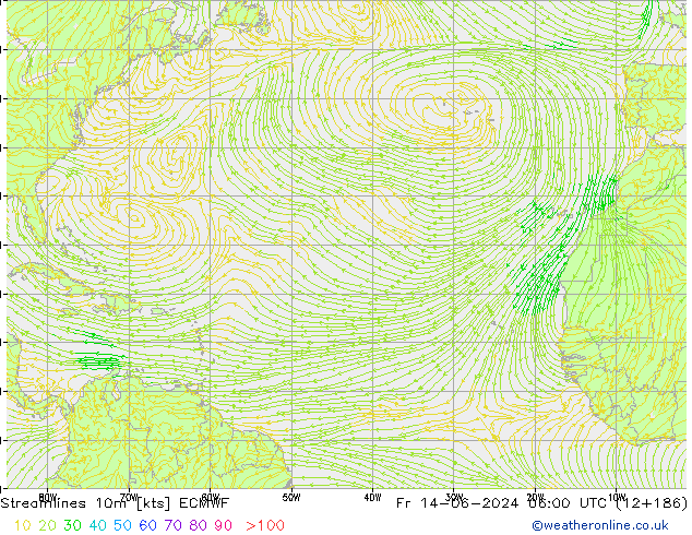 Linea di flusso 10m ECMWF ven 14.06.2024 06 UTC