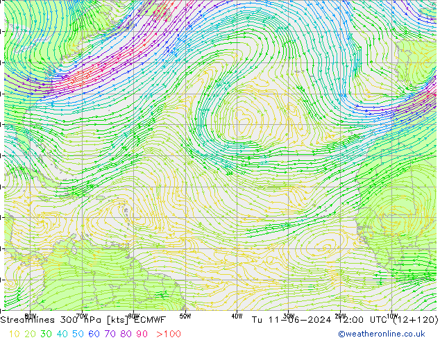 Streamlines 300 hPa ECMWF Tu 11.06.2024 12 UTC