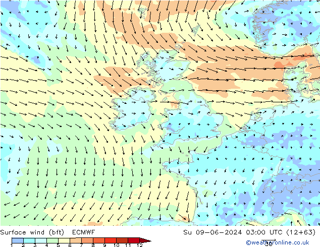 Wind 10 m (bft) ECMWF zo 09.06.2024 03 UTC