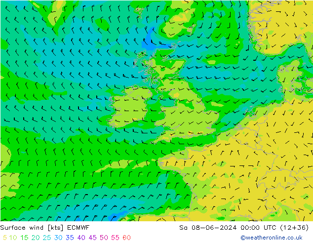 Wind 10 m ECMWF za 08.06.2024 00 UTC