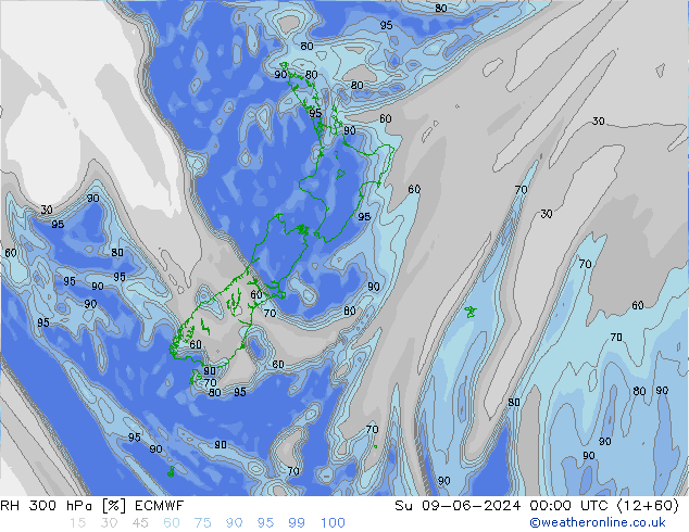 RH 300 hPa ECMWF dom 09.06.2024 00 UTC