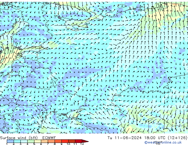 Vento 10 m (bft) ECMWF mar 11.06.2024 18 UTC