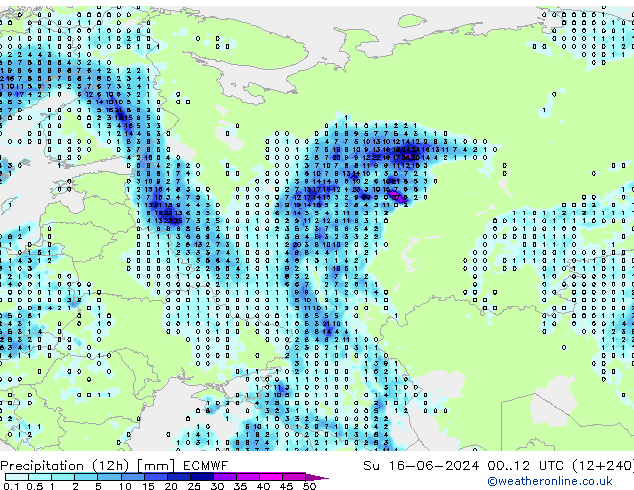 Yağış (12h) ECMWF Paz 16.06.2024 12 UTC