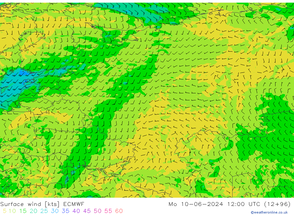 Wind 10 m ECMWF ma 10.06.2024 12 UTC