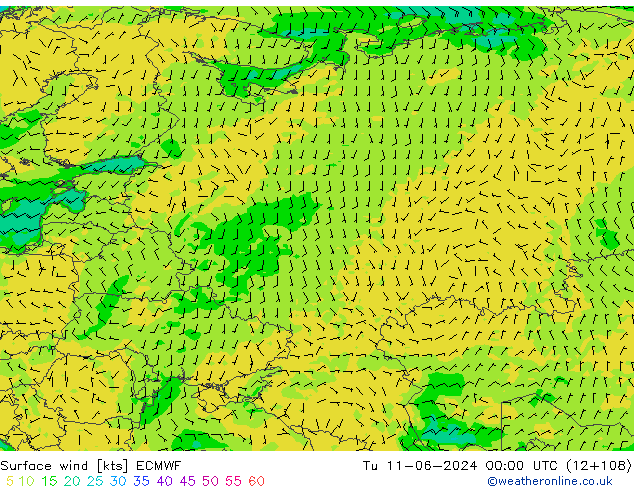 Surface wind ECMWF Út 11.06.2024 00 UTC