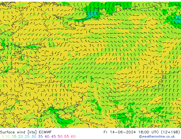 Surface wind ECMWF Fr 14.06.2024 18 UTC