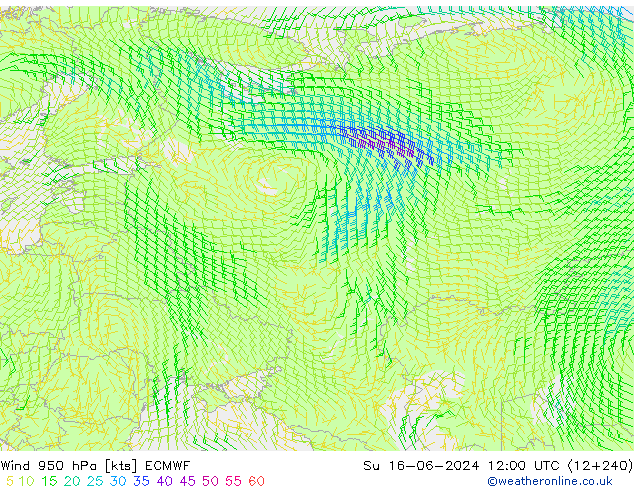 Wind 950 hPa ECMWF So 16.06.2024 12 UTC