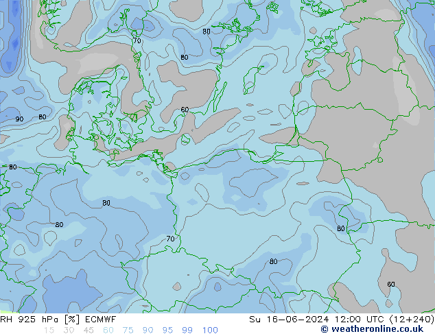 RH 925 hPa ECMWF  16.06.2024 12 UTC