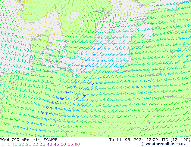 Wind 700 hPa ECMWF di 11.06.2024 12 UTC