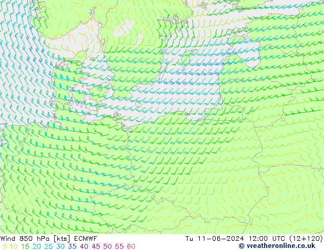 Wind 850 hPa ECMWF di 11.06.2024 12 UTC