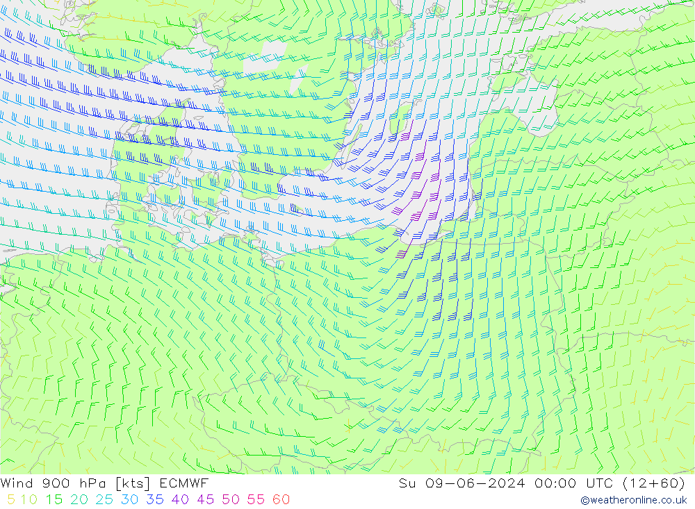 Wind 900 hPa ECMWF zo 09.06.2024 00 UTC