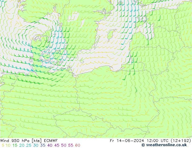  950 hPa ECMWF  14.06.2024 12 UTC