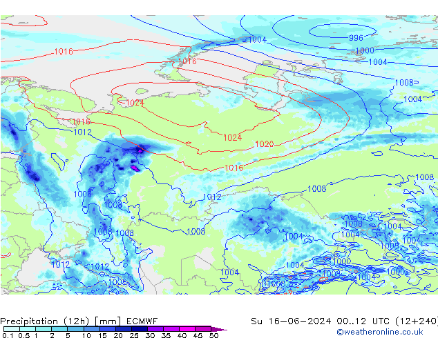 Precipitation (12h) ECMWF Ne 16.06.2024 12 UTC