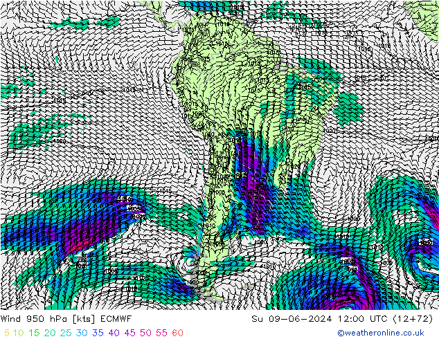 Vent 950 hPa ECMWF dim 09.06.2024 12 UTC