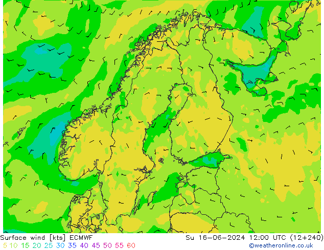 Wind 10 m ECMWF zo 16.06.2024 12 UTC