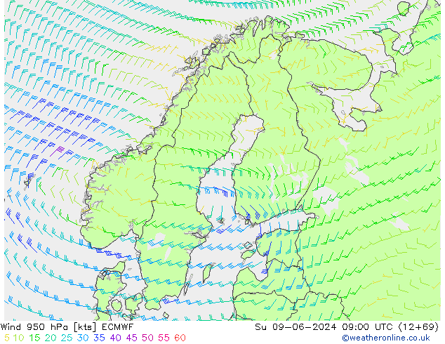 Rüzgar 950 hPa ECMWF Paz 09.06.2024 09 UTC