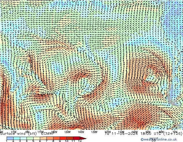 Bodenwind (bft) ECMWF Di 11.06.2024 18 UTC