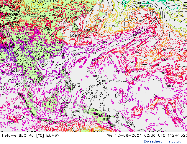 Theta-e 850hPa ECMWF We 12.06.2024 00 UTC