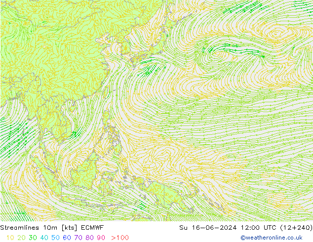 Rüzgar 10m ECMWF Paz 16.06.2024 12 UTC
