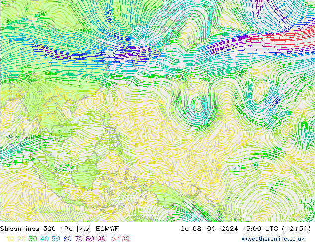 Streamlines 300 hPa ECMWF Sa 08.06.2024 15 UTC