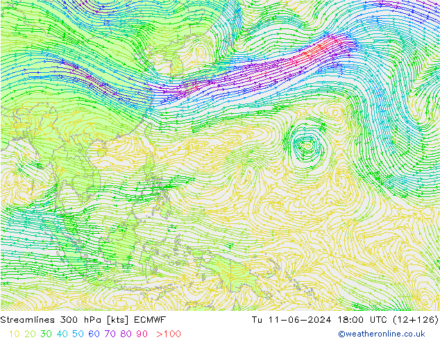 Rüzgar 300 hPa ECMWF Sa 11.06.2024 18 UTC