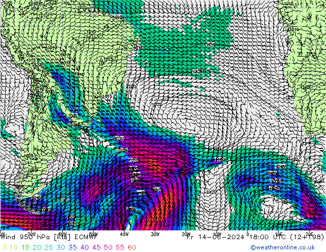 ветер 950 гПа ECMWF пт 14.06.2024 18 UTC