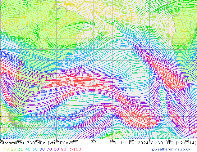 Linha de corrente 300 hPa ECMWF Ter 11.06.2024 06 UTC