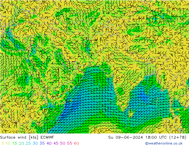 Surface wind ECMWF Su 09.06.2024 18 UTC