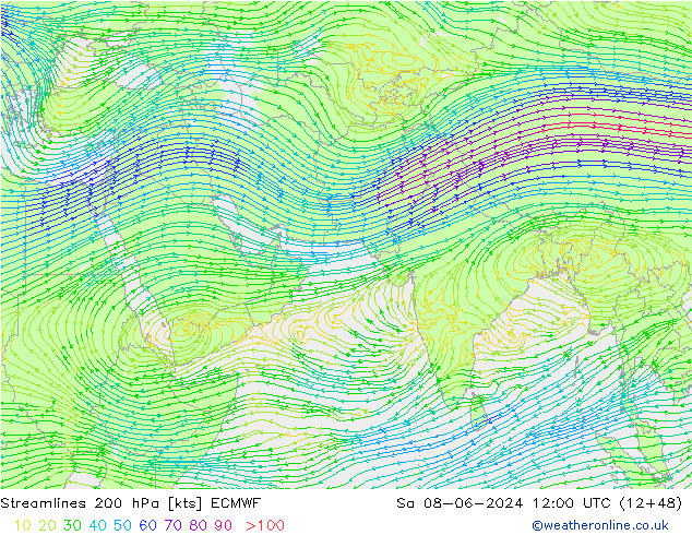 Streamlines 200 hPa ECMWF Sa 08.06.2024 12 UTC