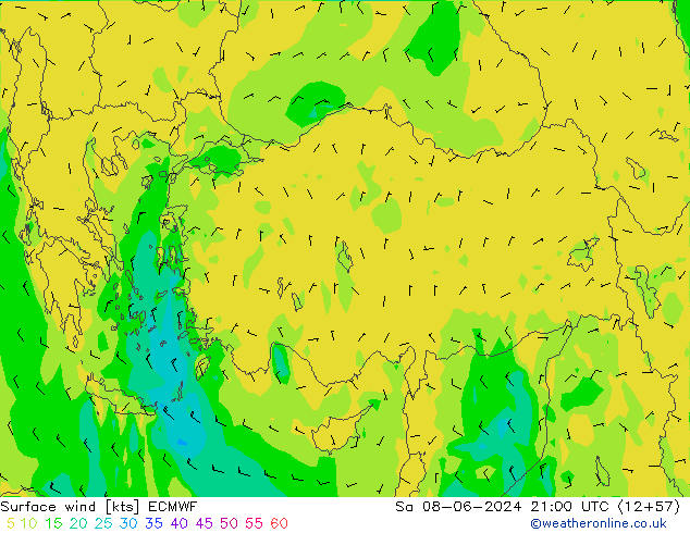 Wind 10 m ECMWF za 08.06.2024 21 UTC