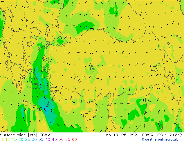 Prec 6h/Wind 10m/950 ECMWF пн 10.06.2024 00 UTC