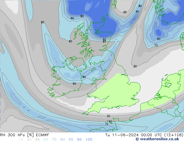 Humedad rel. 300hPa ECMWF mar 11.06.2024 00 UTC