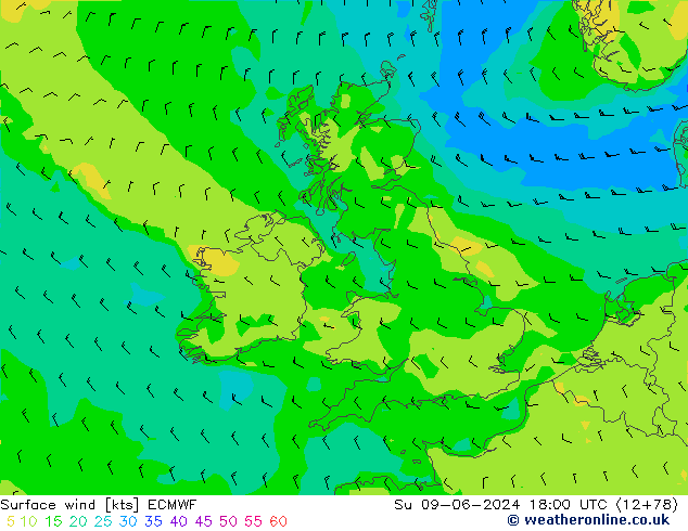 Vento 10 m ECMWF Dom 09.06.2024 18 UTC