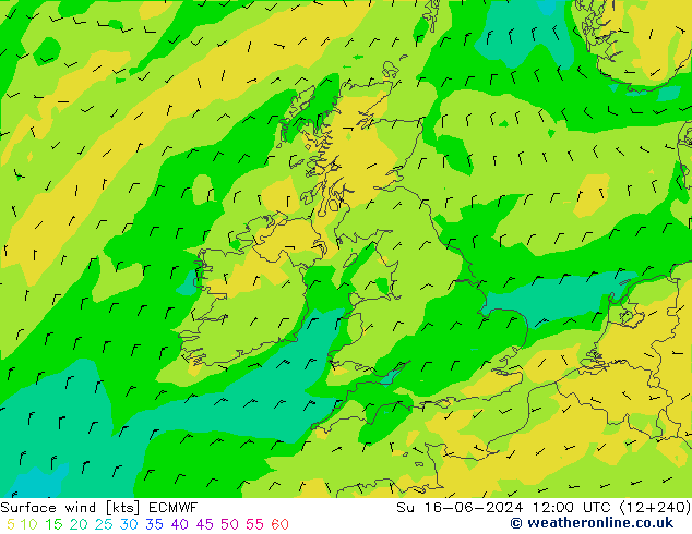 Wind 10 m ECMWF zo 16.06.2024 12 UTC