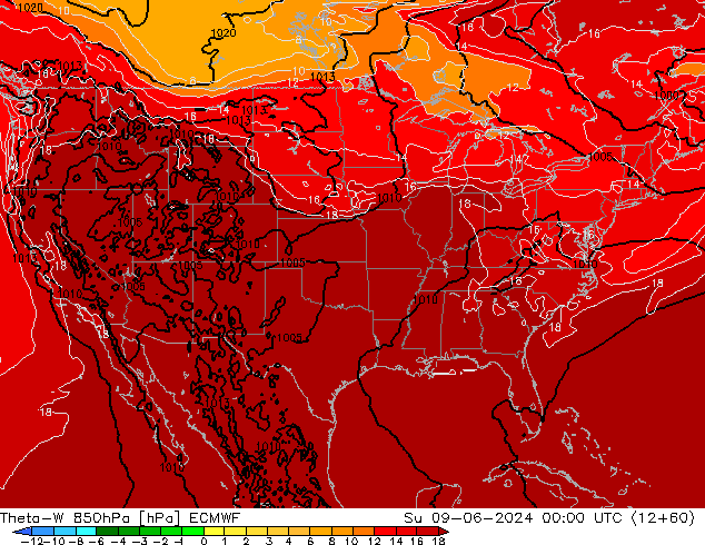 Theta-W 850hPa ECMWF Dom 09.06.2024 00 UTC