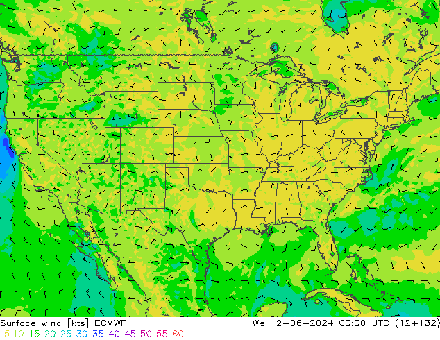 Vento 10 m ECMWF mer 12.06.2024 00 UTC