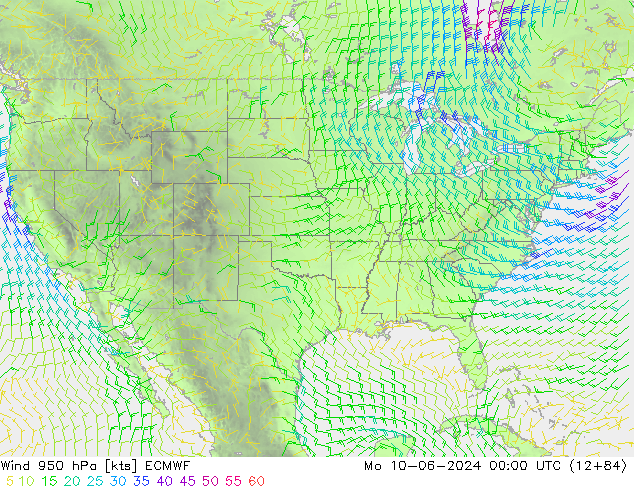 Rüzgar 950 hPa ECMWF Pzt 10.06.2024 00 UTC