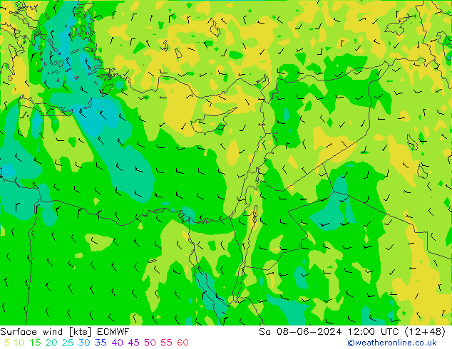 Surface wind ECMWF Sa 08.06.2024 12 UTC