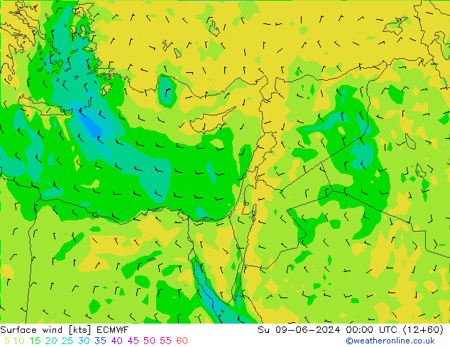 Surface wind ECMWF Su 09.06.2024 00 UTC