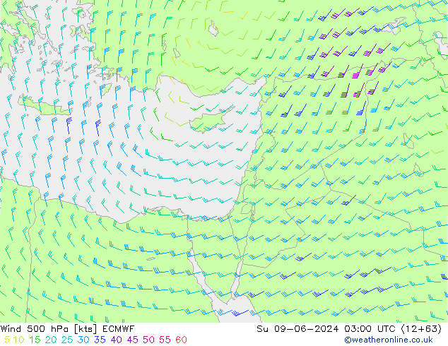 Wind 500 hPa ECMWF Su 09.06.2024 03 UTC