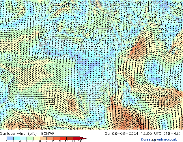 Surface wind (bft) ECMWF Sa 08.06.2024 12 UTC