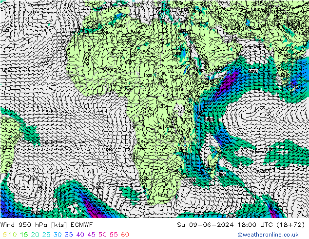 Rüzgar 950 hPa ECMWF Paz 09.06.2024 18 UTC