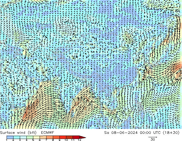 Vent 10 m (bft) ECMWF sam 08.06.2024 00 UTC